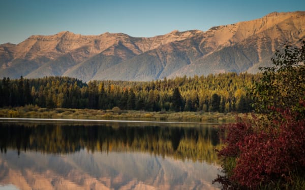 Unlocking Montana's Hidden Hunting Havens