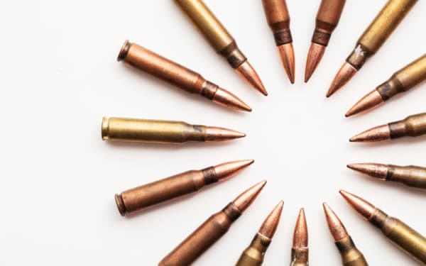 Cartridges Driving Modern Big-Game Hunting