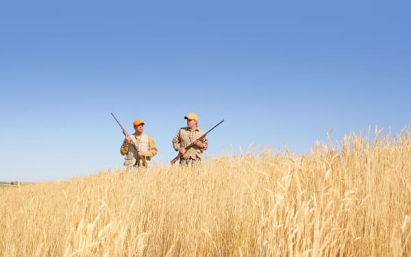 Unlocking Vast Hunting Lands on the Plains