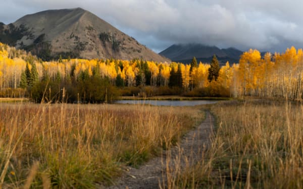 Could Utah’s Quiet Land Fix Save the West You Love?