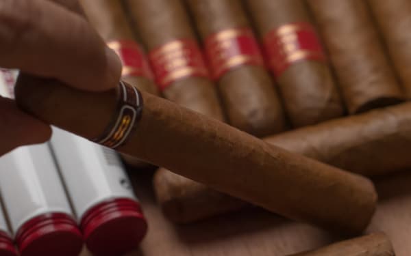 America's Cigar Shops Reveal What Size Really Sells