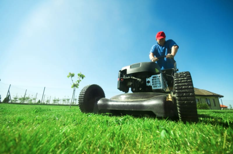 Spring Lawn Care: Get Ready Spring Is Almost Here