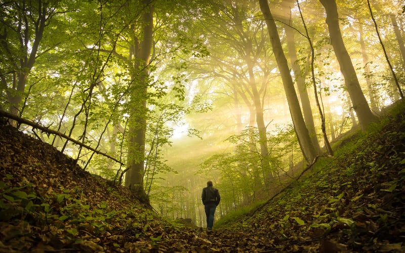 How to Signal for Help When You’re Lost in the Wild