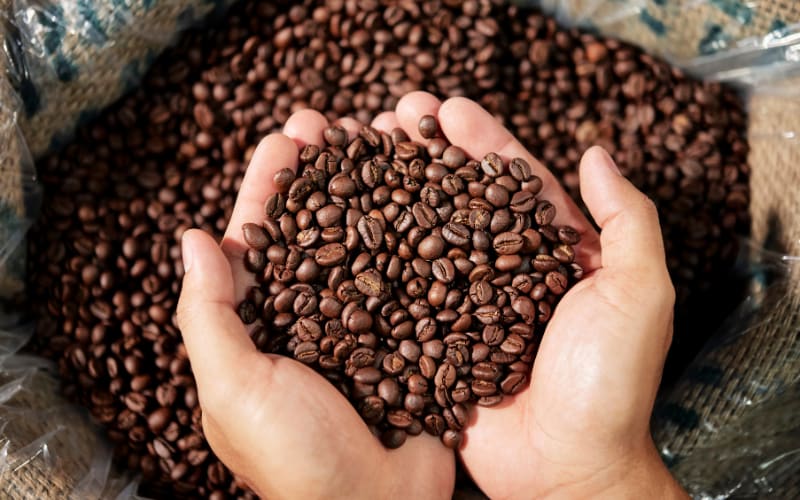 Coffee Basics: Flavor Profiles You Should Know
