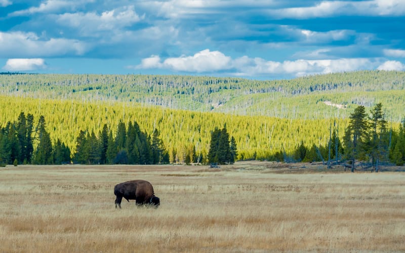 10 National Parks No Man Can Skip in 2025
