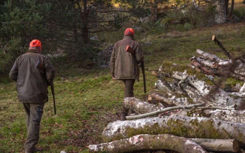 Wyoming Hunters Win as Landowner Tag Changes Halted