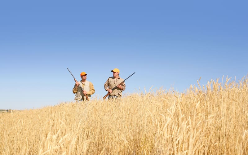 Unlocking Vast Hunting Lands on the Plains