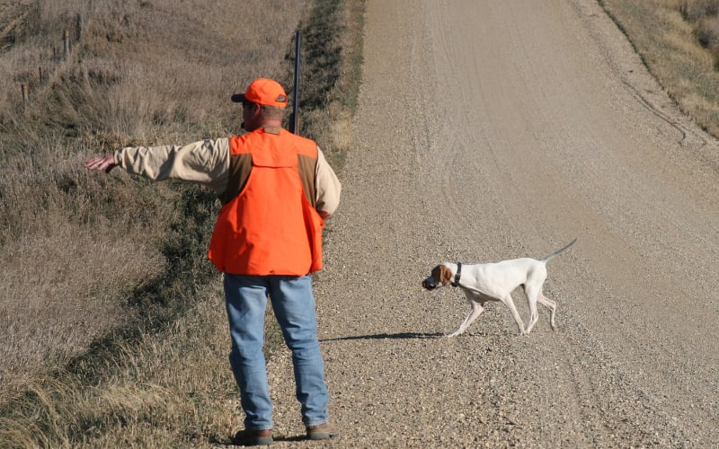 Grab Your 2026 Iowa License Before It's Gone