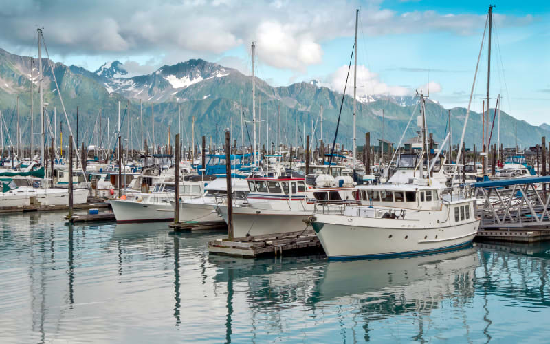 Alaska's Fisheries Faced Real Hardship in 2025