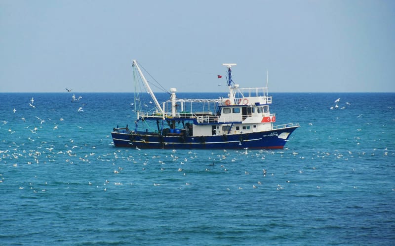 Great Lakes Fisheries End Decades of Throwing Away Fish Parts