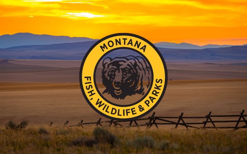 Montana Wildlife Area Opens Hunting Access Through New Lottery