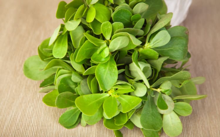 2. Purslane