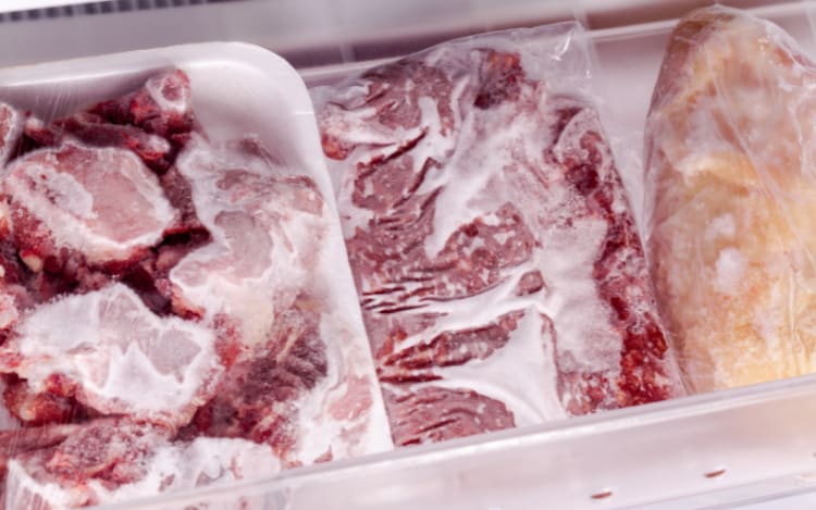 Freezer Full of Game Meat