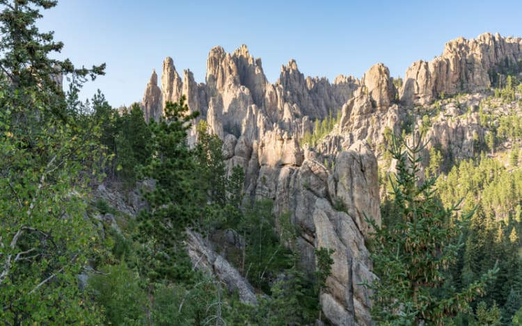 5. Black Hills National Forest, South Dakota