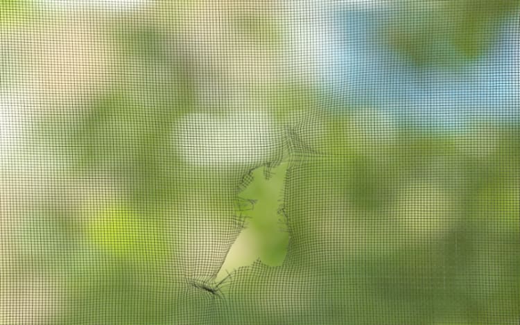 8. Patch a Torn Screen