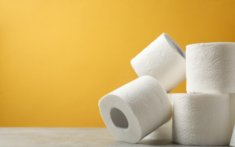 Kirkland Signature Toilet Paper