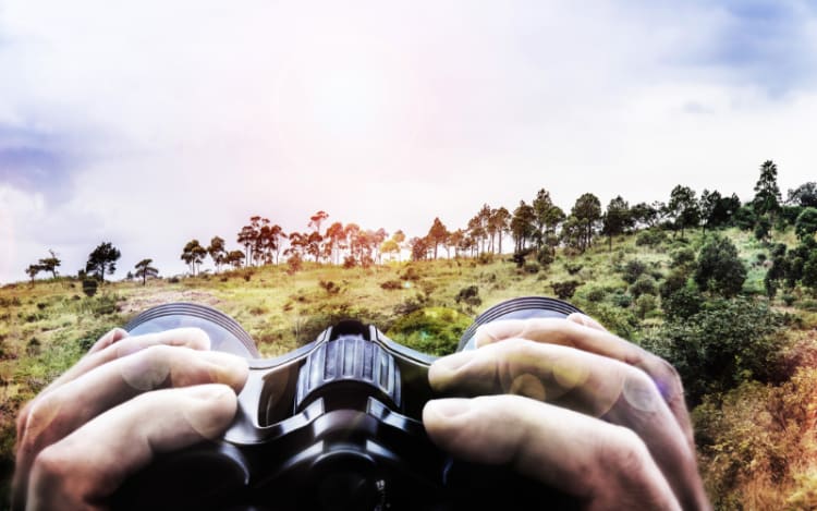 Binoculars for Scouting