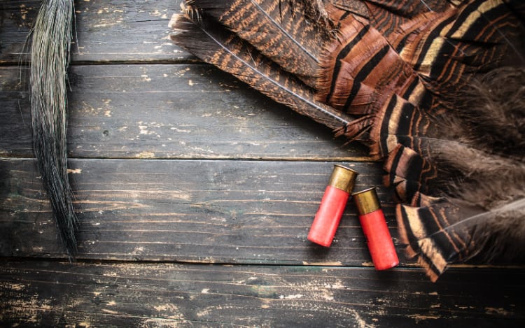 Game Calls for Attraction