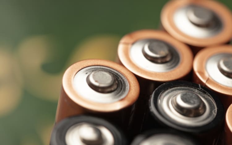 Kirkland Signature Batteries