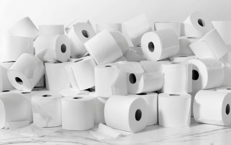 Kirkland Signature Toilet Paper