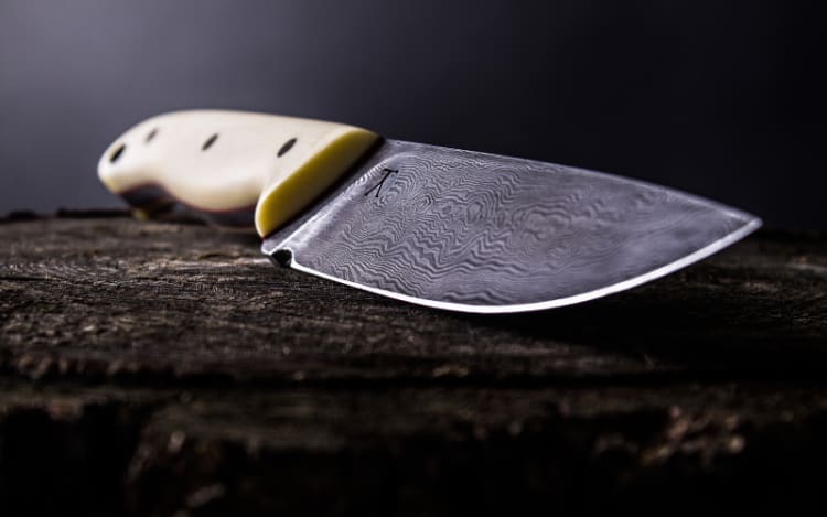 Sturdy Fixed-Blade Knife