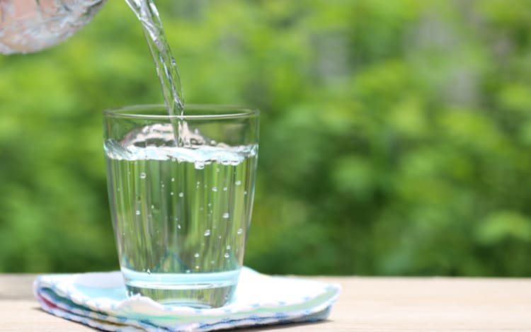 Portable Water Purifier