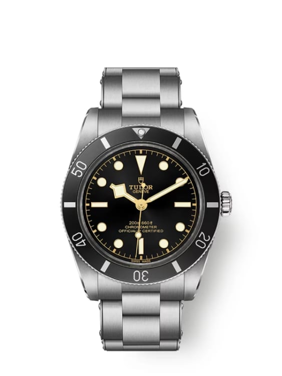 Tudor Black Bay