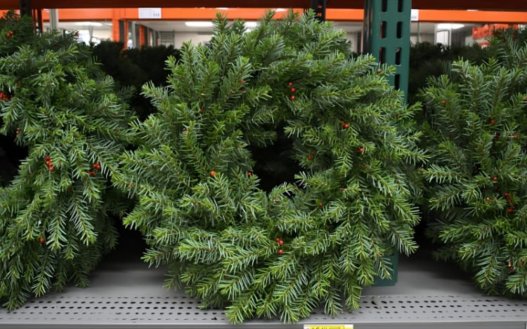 Fresh Noble Fir Wreath