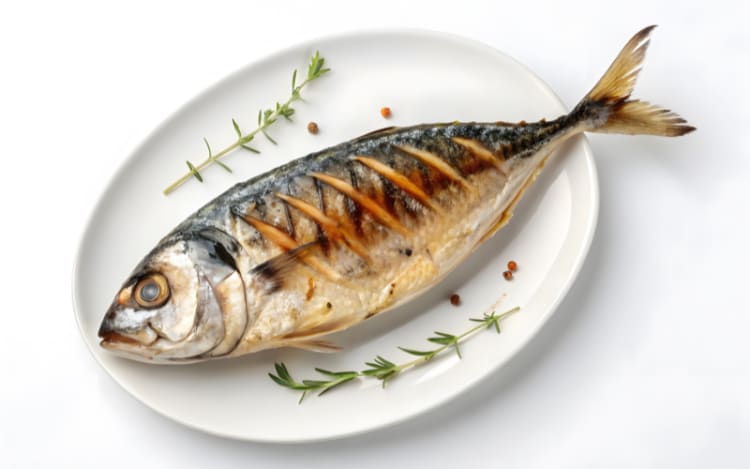 Atlantic Mackerel