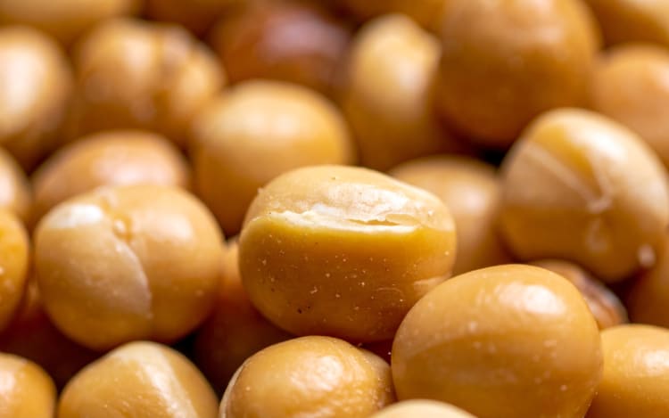 9. Kirkland Signature Dry Roasted Macadamia Nuts