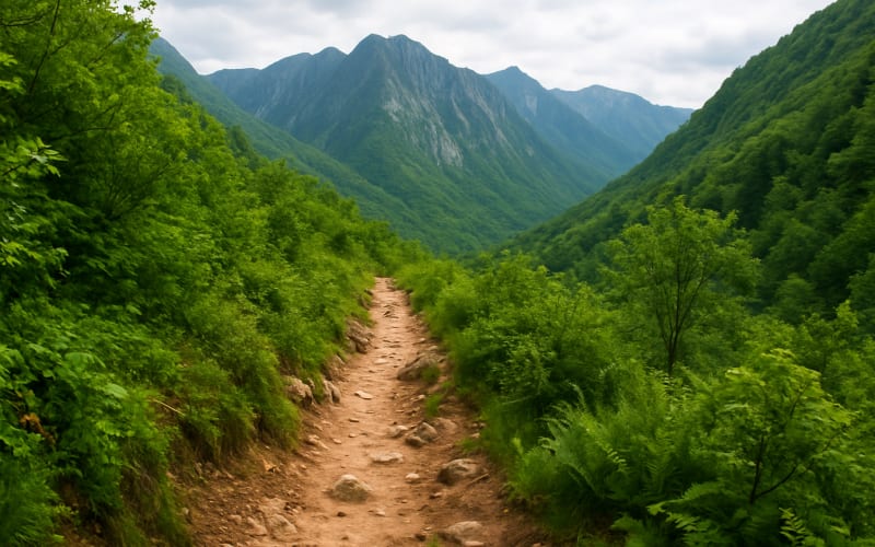 A scenic view of the rugged and steep Huckleberry Trail with lush greenery and rugged mountains in the background.