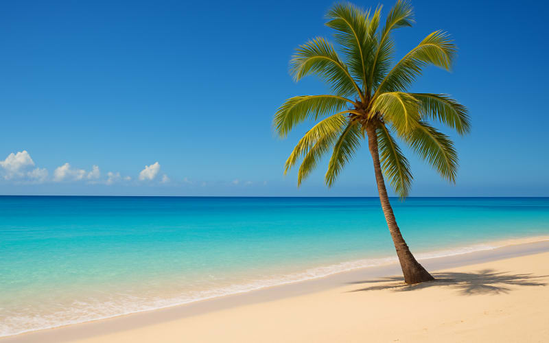 A picturesque tropical beach with clear blue water and a palm tree, representing an exclusive travel destination.