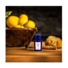 Acqua Di Parma Bergamotto La Spugnatura EdP 100ml