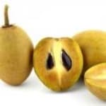 Sapodilla/Nesberry