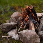 Høsttips - Gents fokuserer