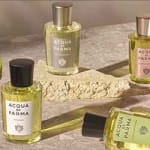 Finn riktig Colonia for deg