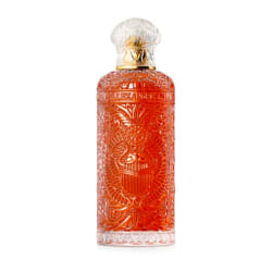 Alexandre J Alexandre.J Black Beetle