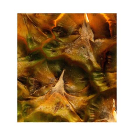 ANFAS RAHABA EXTRAIT