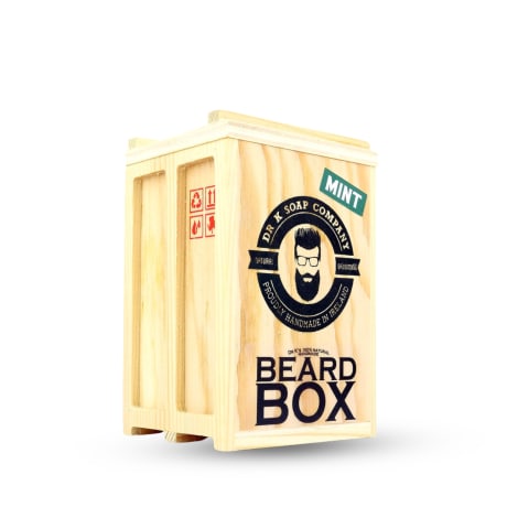 Dr K Soap Company Beard Box Mint