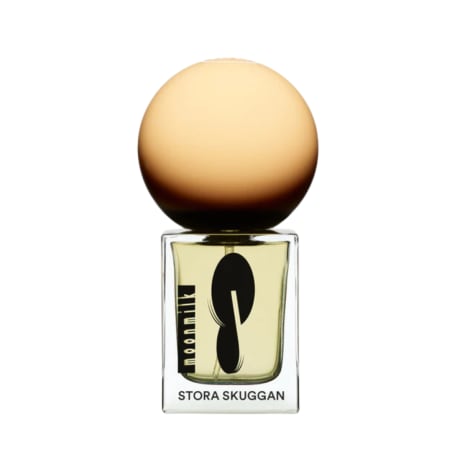 Stora Skuggan Moonmilk