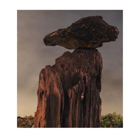 Un morceau de roche sombre à la texture rugueuse, posé sur une structure en bois dentelée, avec un arrière-plan atténué et du feuillage à la base.