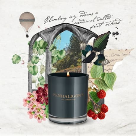 PEN CLASSIC CANDLES ROANOKE IVY 200G 200g