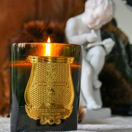 Gabriel (Gourmand Chimney fire)