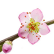 Pfirsichblüte
