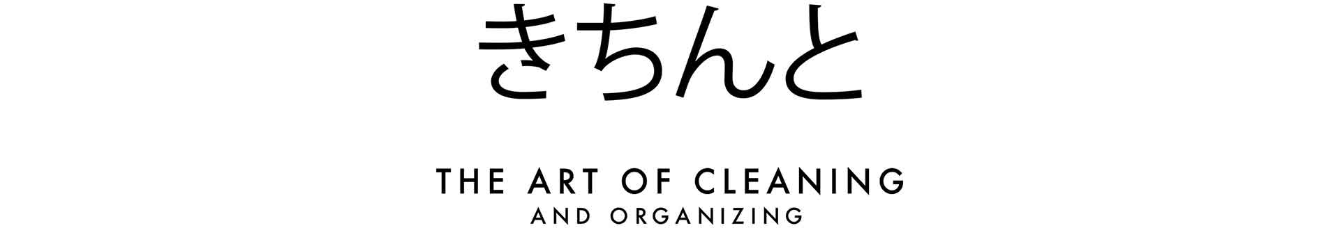 artofcleaningny