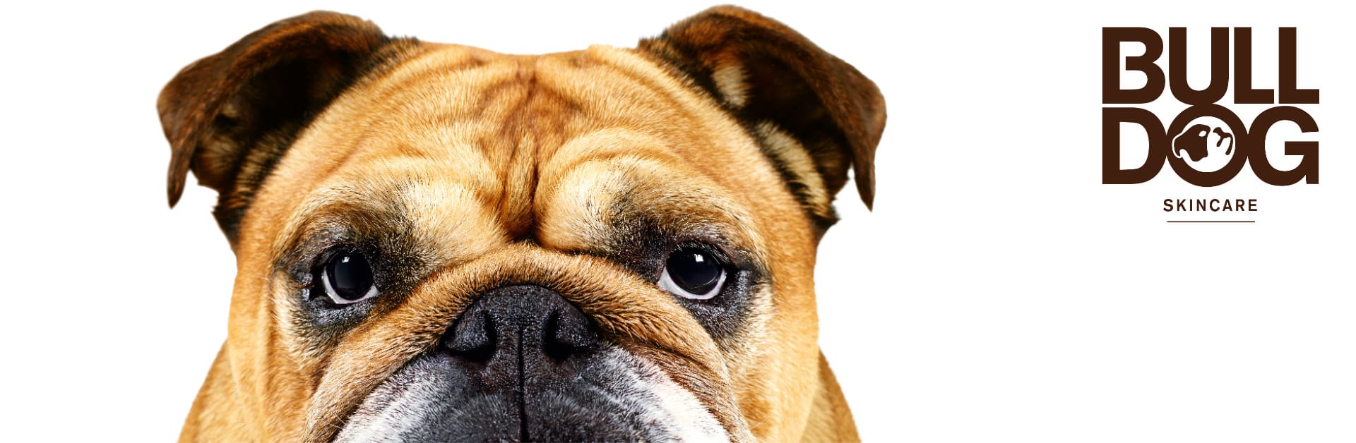 Bulldog Banner Gents PNG