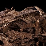 Oud / Agarwood