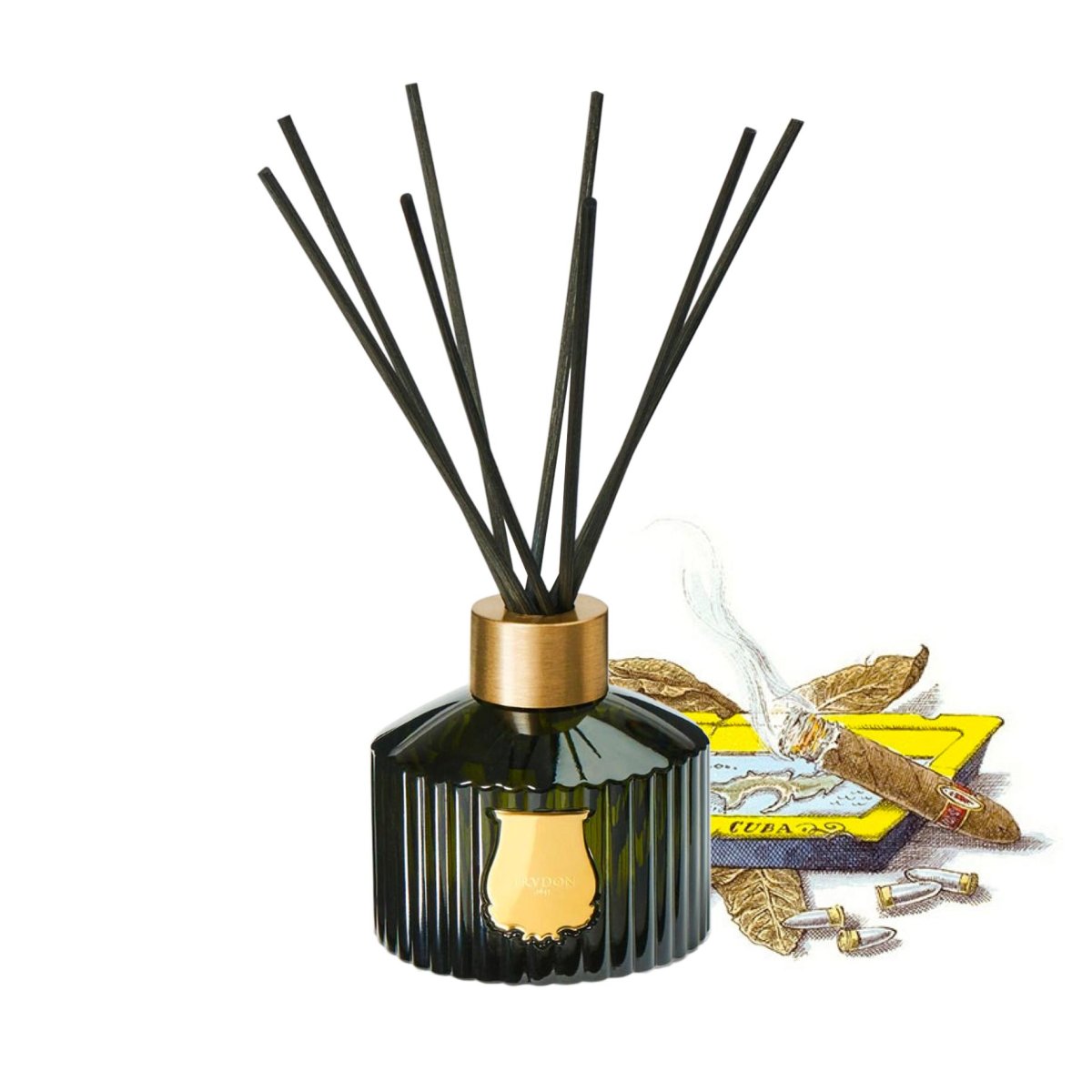 Trudon Diffuser Ernesto 350 ml