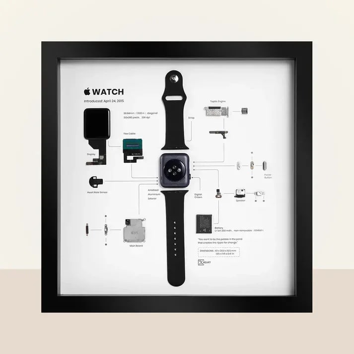 Apple Watch 1st Generation Frame