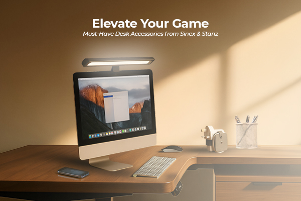 Elevate Your Game: Must-Have Desk Accessories from Sinex & Stanz